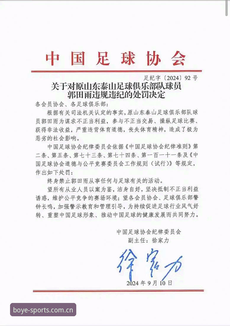 足协重拳出击！17人终身禁足+48人遭罚的5大关键点，博业体育平台深度解读